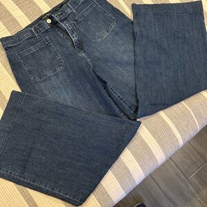 Banana Republic Blue Flare Wide Leg Jeans